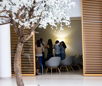 Espace de détente aménagé autour d'un arbre en fleurs